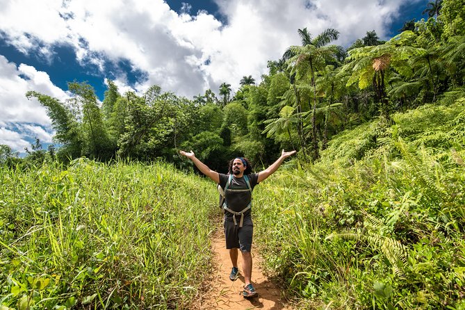 Hike El Yunque Rainforest and Kayak Bio Bay Combo Tour - What the $172 price really covers