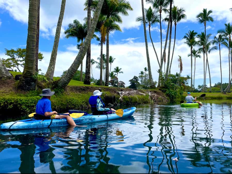 Hilo: Wailoa River to King Kamehameha Guided Kayaking Tour - Key points at a glance