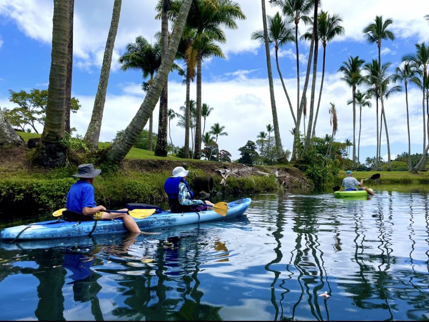 Hilo: Wailoa River to King Kamehameha Guided Kayaking Tour - The fern grotto and the quieter scenery