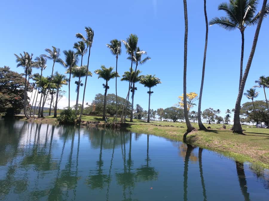 Hilo: Wailoa River to King Kamehameha Guided Kayaking Tour - The route question you should settle before booking