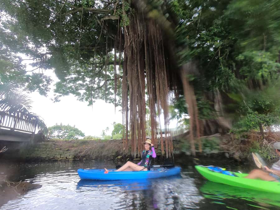 Hilo: Wailoa River to King Kamehameha Guided Kayaking Tour - Under the dragon arches