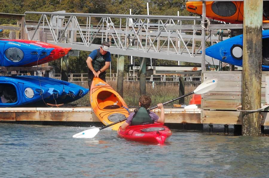 Hilton Head: 2-Hour Kayak Dolphin Nature Tour - Key points at a glance