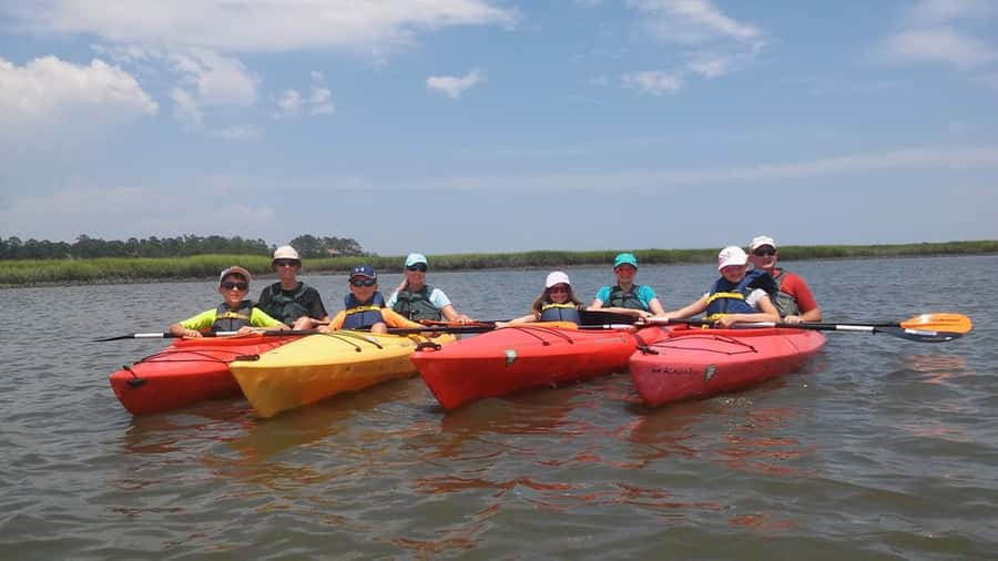 Hilton Head: 2-Hour Kayak Dolphin Nature Tour - Calm water does not mean no effort