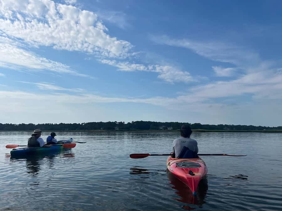 Hilton Head: 2-Hour Kayak Dolphin Nature Tour - Family arrangements are practical