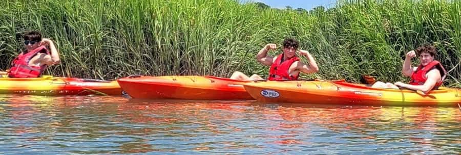 Hilton Head: 2-Hour Kayak Dolphin Nature Tour - Choosing morning, afternoon, or evening