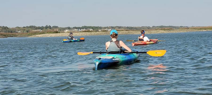 Hilton Head: 2-Hour Kayak Dolphin Nature Tour - Who should book this Hilton Head experience?