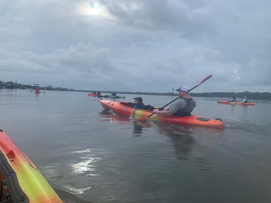 Hilton Head: 2-Hour Kayak Dolphin Nature Tour - Should you book the Hilton Head dolphin kayak tour?