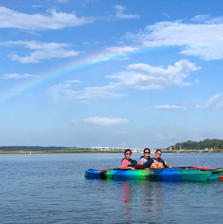 Hilton Head: 2-Hour Kayak Dolphin Nature Tour - Dolphins are the prize, but not the promise