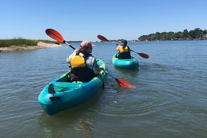Hilton Head Guided Kayak Eco Tour - Key things to know before you paddle