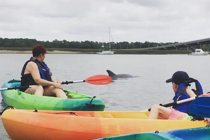 Hilton Head Guided Kayak Eco Tour - Hilton Head’s marsh water in the morning