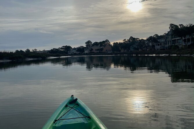 Hilton Head Guided Kayak Eco Tour - What $45 buys you