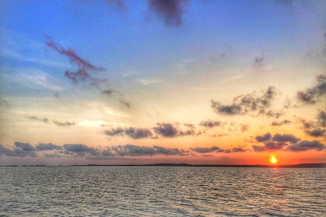 Hilton Head Guided Kayak Eco Tour - Who will enjoy this most