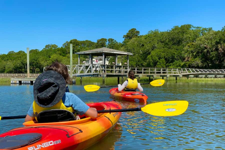 Hilton Head: Guided Kayak Nature Tour with Wildlife Spotting - Reading the salt marsh for wildlife