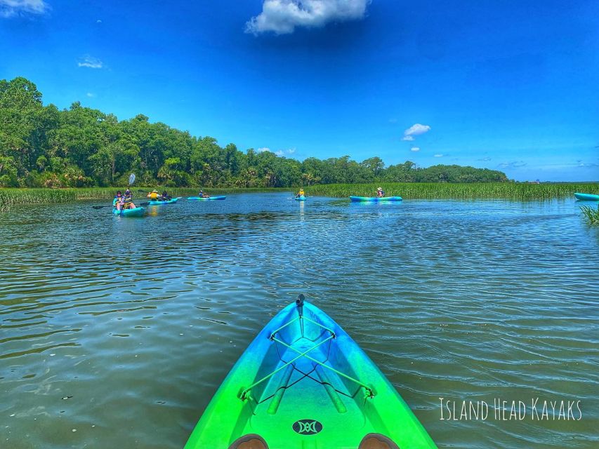 Hilton Head: Guided Kayak Sunrise or Sunset Tour - Watching the salt marsh for birds and dolphins
