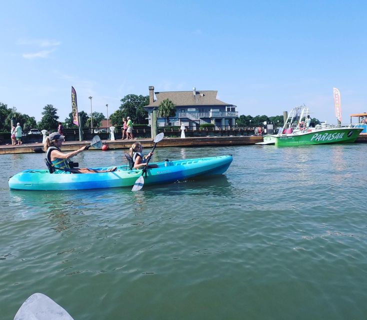 Hilton Head: Guided Kayak Sunrise or Sunset Tour - Learning Hilton Head’s natural and local story