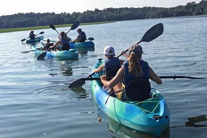 Hilton Head Guided Kayak Tour - Skull Creek turns a short trip into a nature walk on water