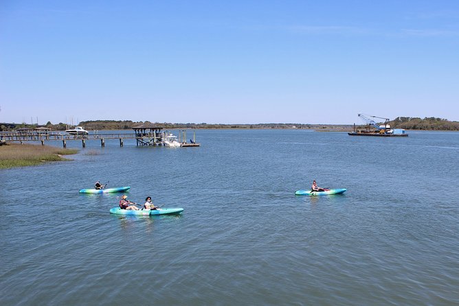 Hilton Head Guided Kayak Tour - Birds, marsh ecology, and the guide’s role