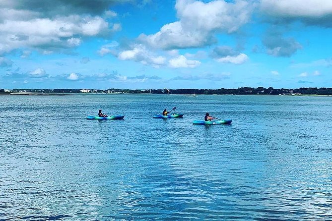 Hilton Head Guided Kayak Tour - Is the physical effort manageable?