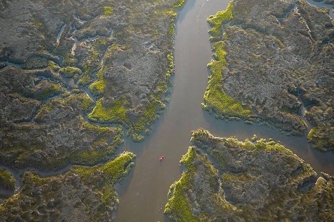 Hilton Head Guided Kayak Tour - Families, couples, and solo paddlers
