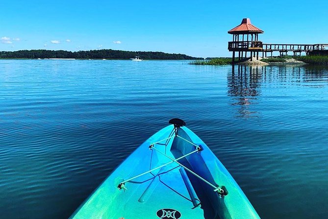 Hilton Head Guided Kayak Tour - Tips for making the most of the 90 minutes