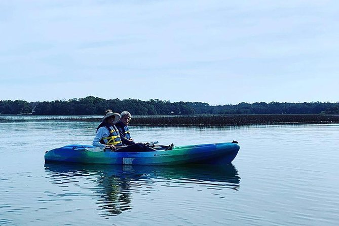 Hilton Head Guided Kayak Tour - Dolphin watching from a kayak