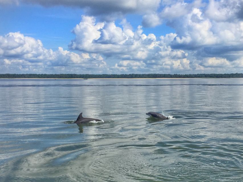 Hilton Head Island: 1.5-Hour Guided Small-Group Kayak Tour - Key points to know before you paddle