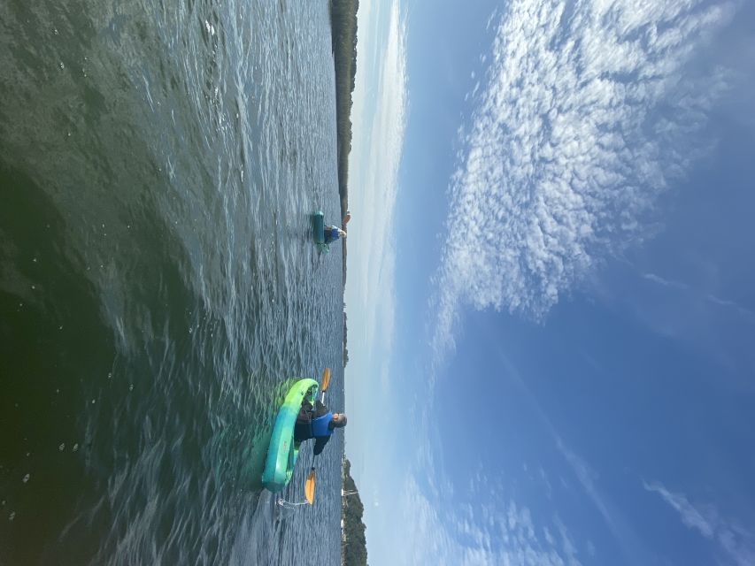 Hilton Head Island: 1.5-Hour Guided Small-Group Kayak Tour - Watching birds and other local wildlife
