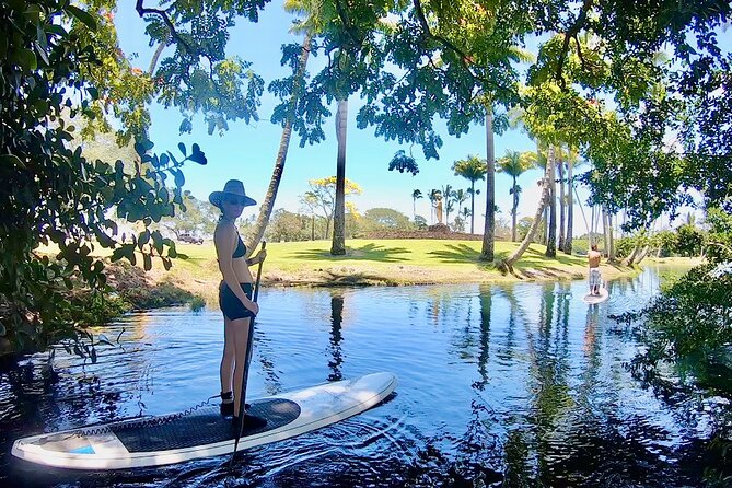 Historic Hilo Bay & Coconut Island SUP Adventure - Paddling past Hilo’s gardens and coves