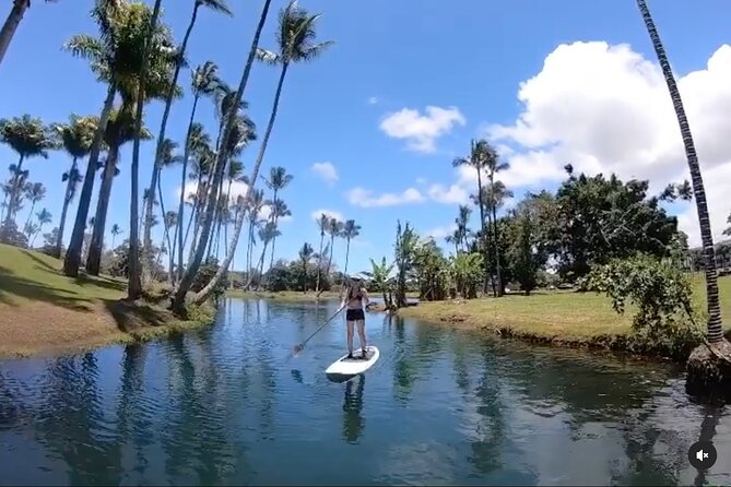 Historic Hilo Bay & Coconut Island SUP Adventure - How the small group affects the experience