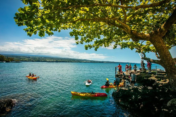 Historic Hilo Bay Waterfalls by Kayak - Seeing Hilo Bay from a kayak at 9 a.m.