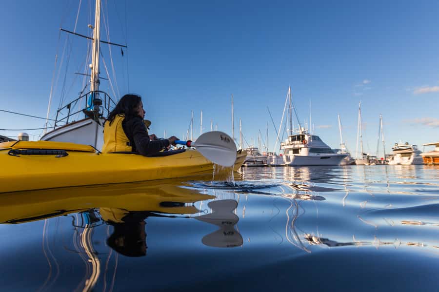 Hobart City 2.5-Hour Kayak Tour - The guides shape the experience