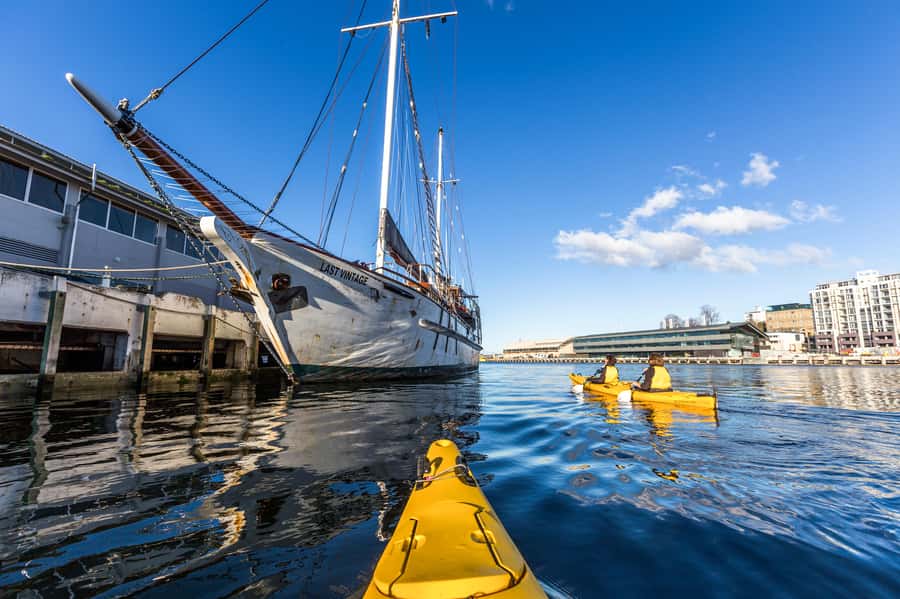 Hobart City 2.5-Hour Kayak Tour - Is $84 a fair price?