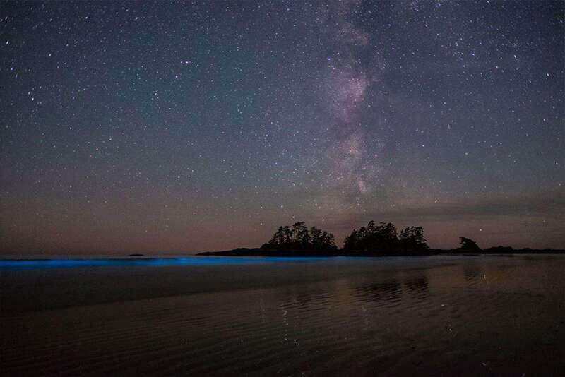 Holbox: Guided Bioluminescence Kayaking Tour - The Glowing Water Near the Sandbank