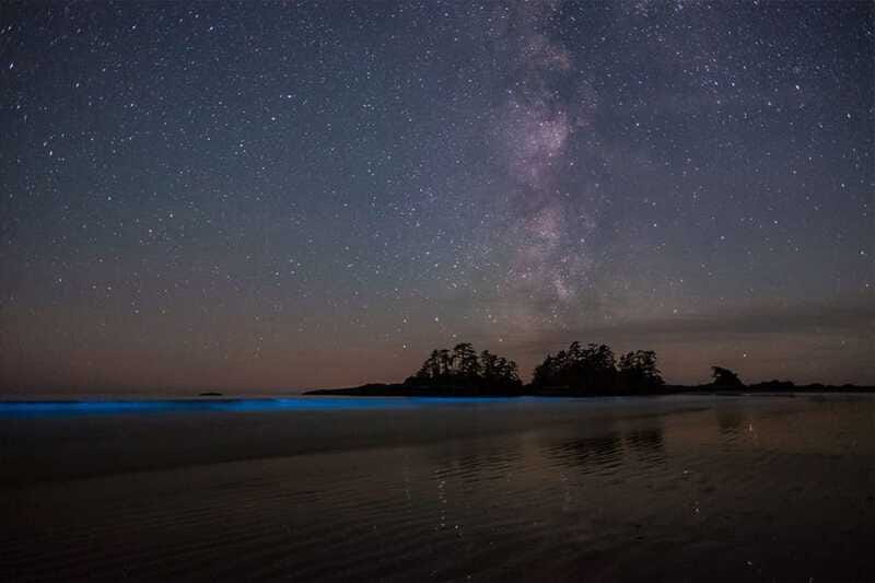 Holbox: Guided Bioluminescence Kayaking Tour - About 25 Minutes on the Sandbank