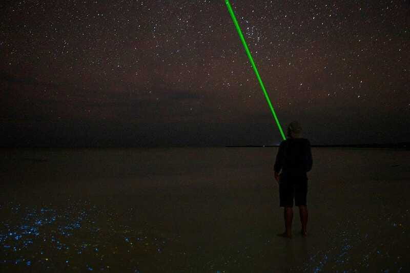 Holbox: Guided Bioluminescence Kayaking Tour - Who Will Enjoy This Most
