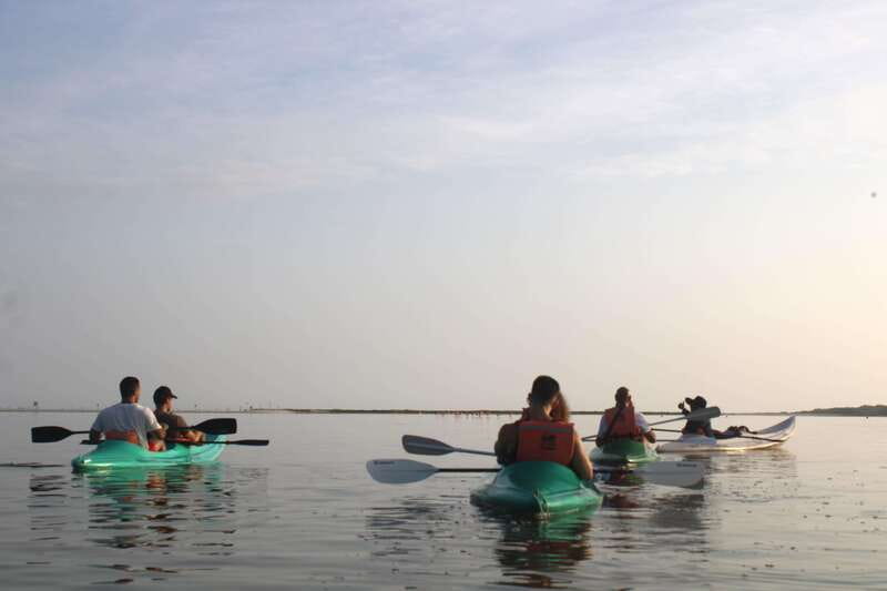 Holbox: Guided Sunrise/Sunset Kayak Tour by Mangrove Reserve - Key points at a glance
