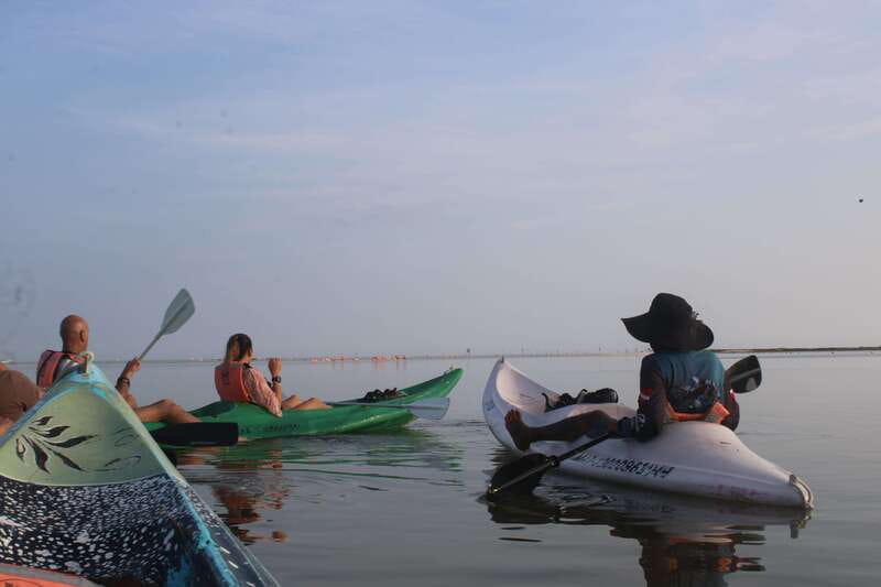 Holbox: Guided Sunrise/Sunset Kayak Tour by Mangrove Reserve - Getting set up beside the mangroves