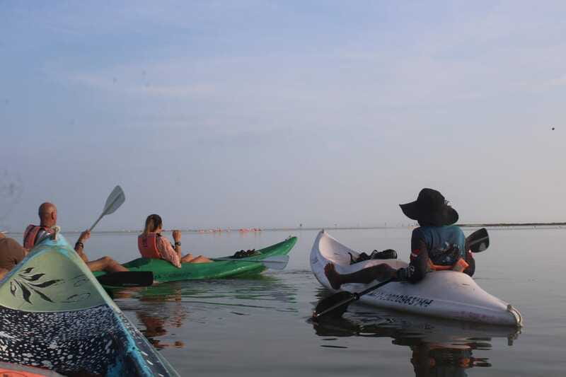 Holbox: Guided Sunrise/Sunset Kayak Tour by Mangrove Reserve - Who will enjoy this most?