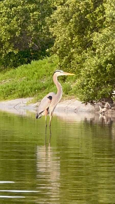 Holbox: Mangrove Sunset Kayak Tour - The snack stop and sunset timing