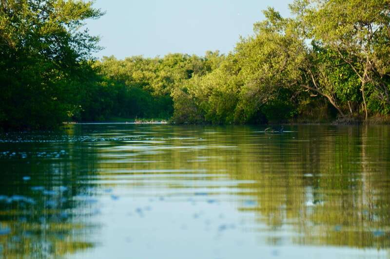 Holbox: Mangrove Sunset Kayak Tour - Who will enjoy this Holbox kayak trip?