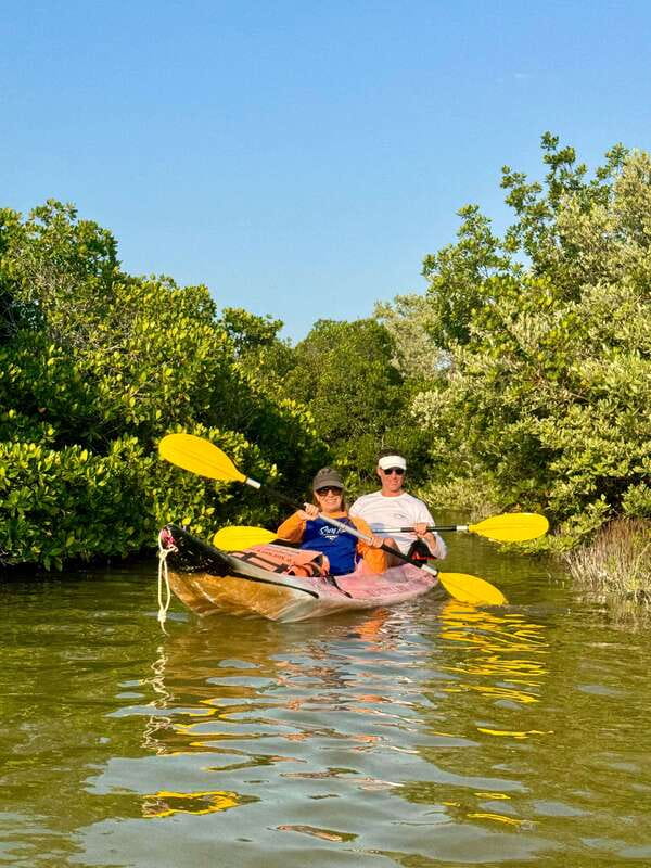 Holbox: Mangrove Sunset Kayak Tour - Practical preparation for a better outing