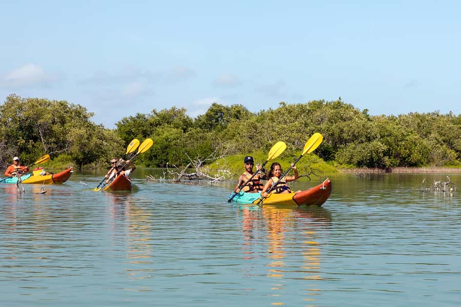 Holbox: Sunrise Kayak Tour through the Mangroves - Key points to know before booking