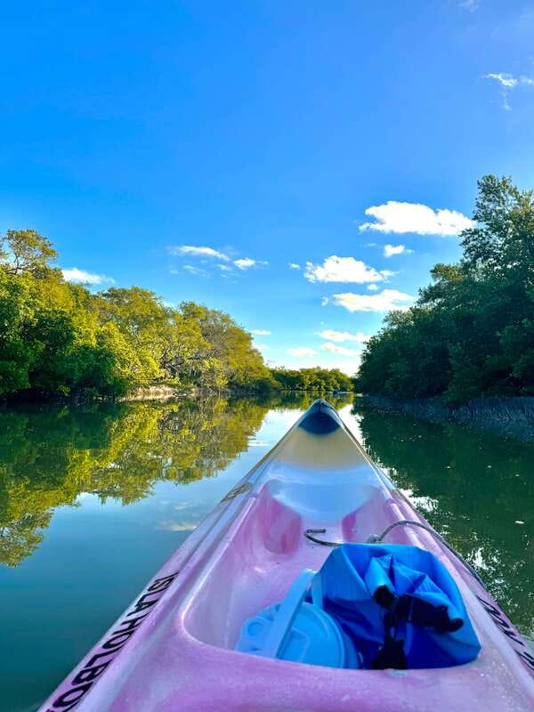 Holbox: Sunrise & Mangrove Kayak Tour - Weather, fitness, and who should book