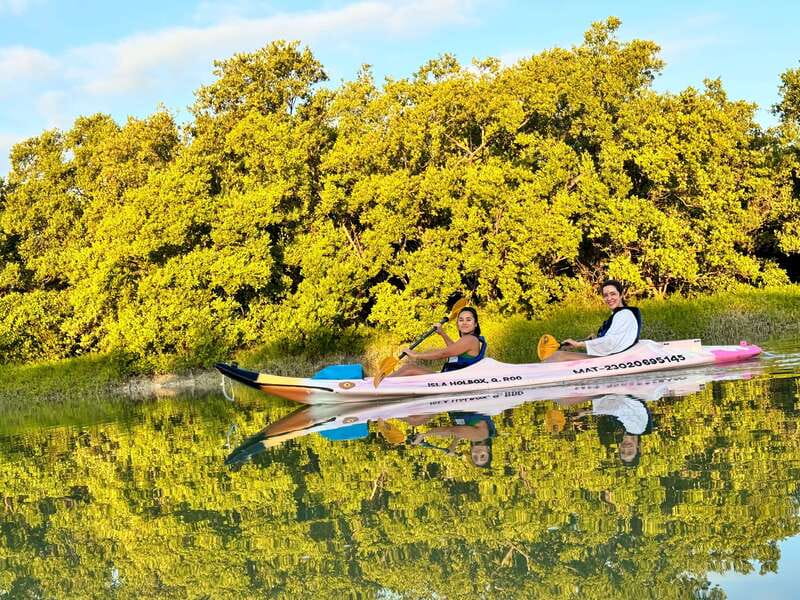 Holbox: Sunrise & Mangrove Kayak Tour - From hotel pickup to Punta Mosquito