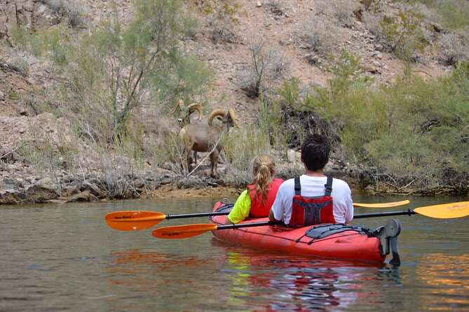 Hoover Dam & Hot Springs Kayak Tour with Lunch & Expert Guide - Launching below the dam
