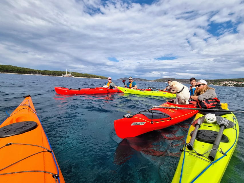 Hvar: Half day kayak tour to Pakleni islands - What the $68 price really covers