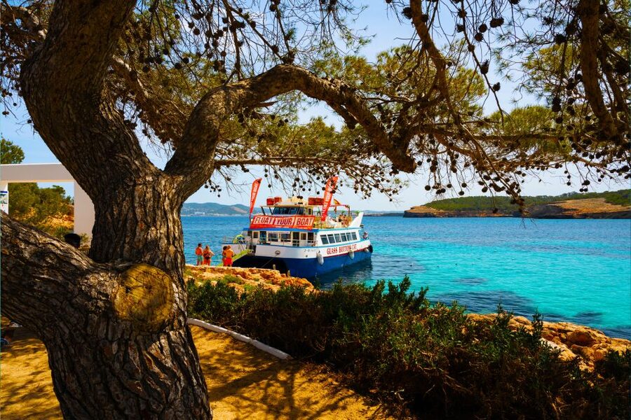 Ibiza: Beach Hopping Cruise w/ Paddleboard, Food, & Drinks - Cala Tarida and Cala Comte Along the Same Route