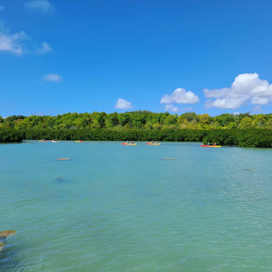 Ile d Ambre Kayaking - Key points at a glance