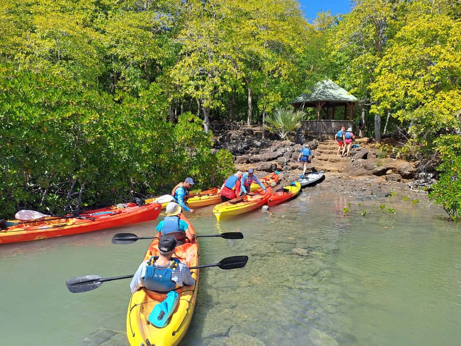 Ile d Ambre Kayaking - Swimming and snorkeling in the middle of the trip