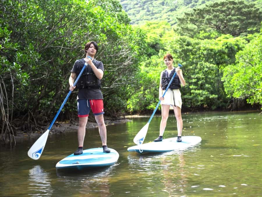Iriomote island: Mangrove River SUP or Canoe Cruising Tour - Key points to know before you book